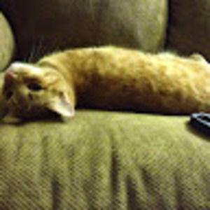 Meet your Posher, Stephen